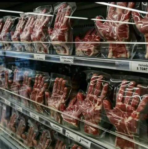 431597204_806735878152693_5858845976606906322_n