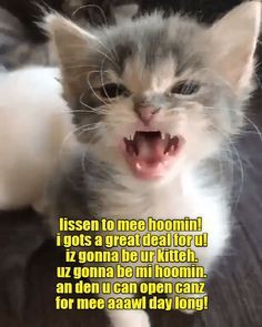 11a39a4def4a494433881480e5eb8cae