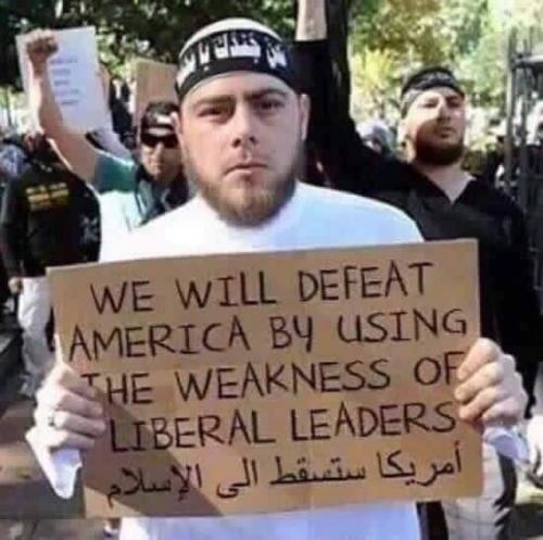 19732306_1608835615816535_2191945410939477133_n