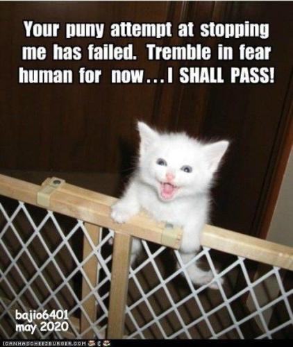 d2e8c5579a51c4810cdbc985cd053a45