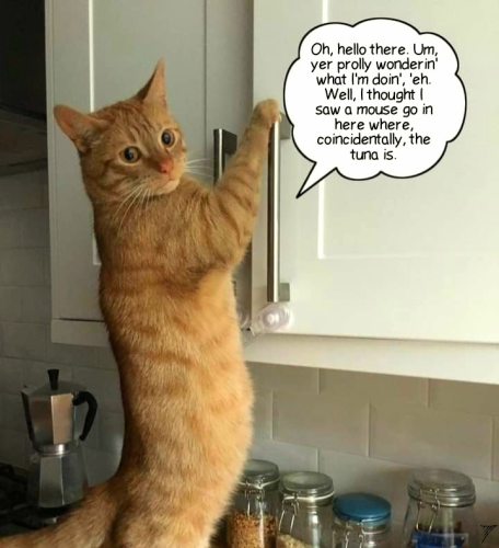 sketch-1710201751249