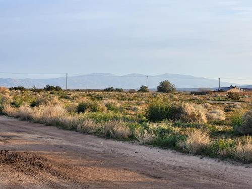 431177761_1305974946765973_8205587971016480980_n