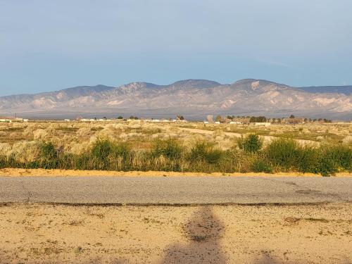 431483497_1305974533432681_638647897305625499_n