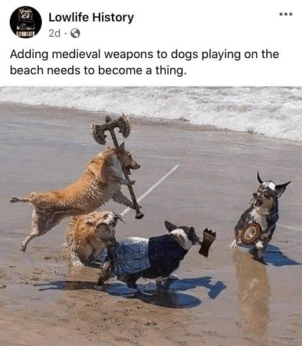 dogweapons