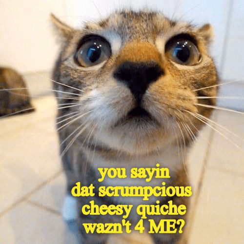 852b038cc05a9d3966b3322074ee4f42