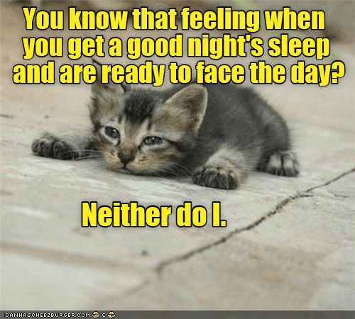 d5dae6aab863474c729489902f37e529