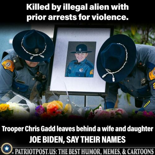 01HRFVN2Y5RQAFVG53V0TAJ8FZ