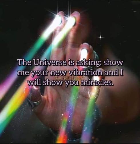 430062741_2289289481266438_4675713988958098647_n