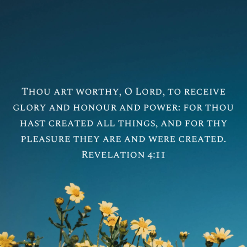 08:51:07 GMT-0500 (Eastern Standard Time).image