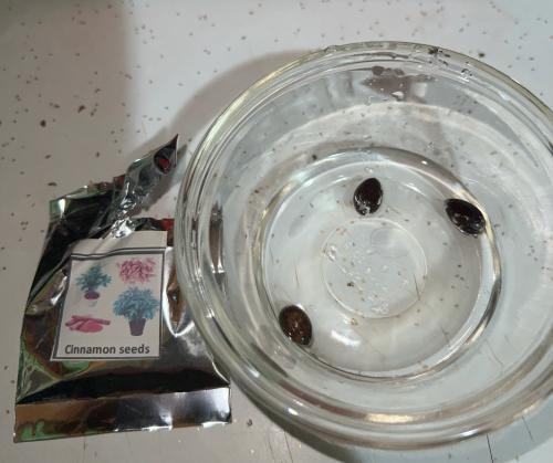 813A2DEA-F290-403D-B31E-26E03CA0F083