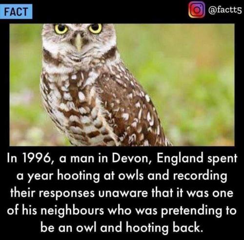 hooting fact