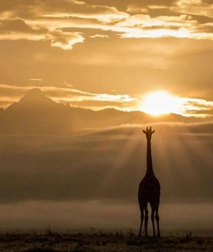 19:16:36 GMT-0500 (CDT)