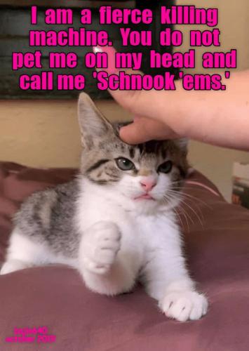 71063c0b7632181f56242f47f16f401a