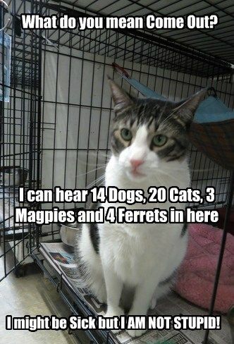 9c9eb631d2ac22e418b28b38928fc309