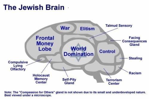 jew-brain