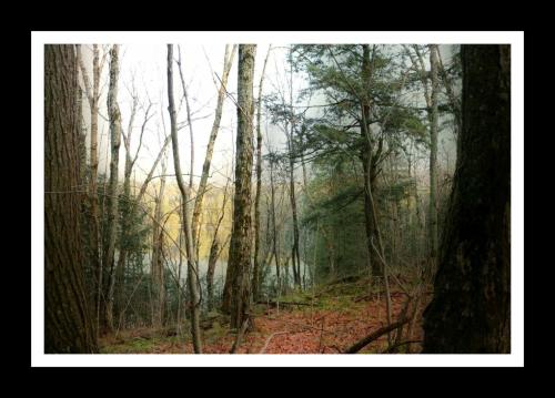 PicsArt_01-28-09.26.30-01