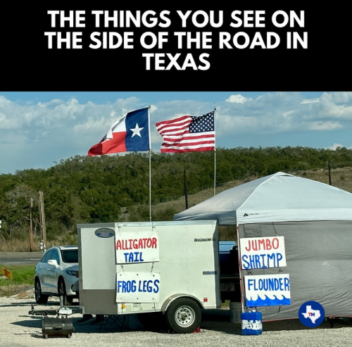 Screenshot 2024-03-04 083856