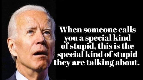 Special kind of Stupid Joe Biden.960px