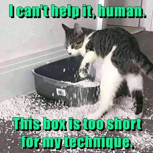 cant-help-human-this-box-is-too-short-my-technique