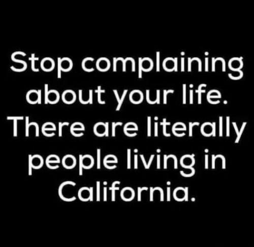 433439840_1258313208458817_7071904058383138533_n