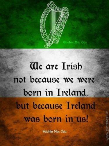 940aa268-b5ad-4e2e-b7ba-28d1584b30f1