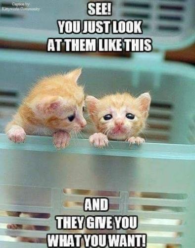 890128fe1ce6c605302f74342b018cec