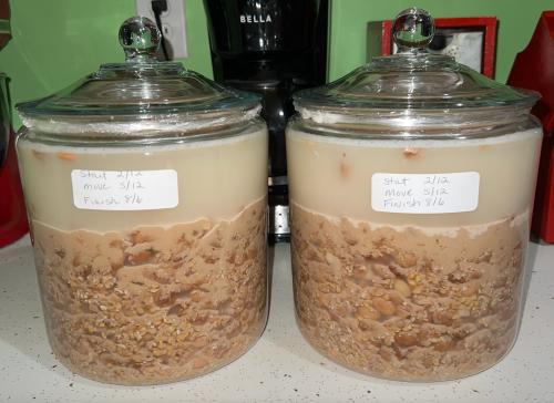 AD9623C2-CF9C-4EAF-9B0E-94110E9B6F0E