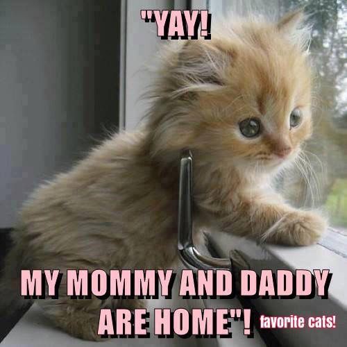 8c4cc5066919f8d664690a30ae64ec9b