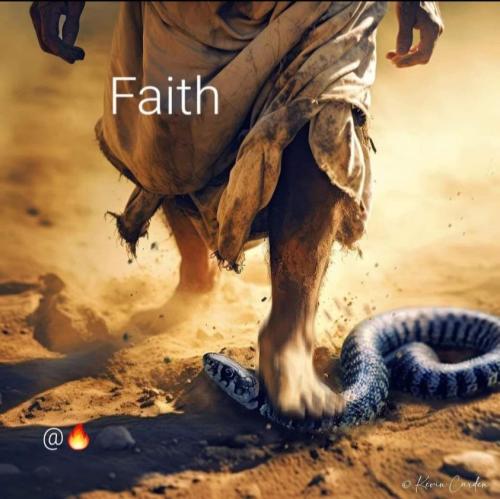 431667367_381335981348573_1838338556697805047_n