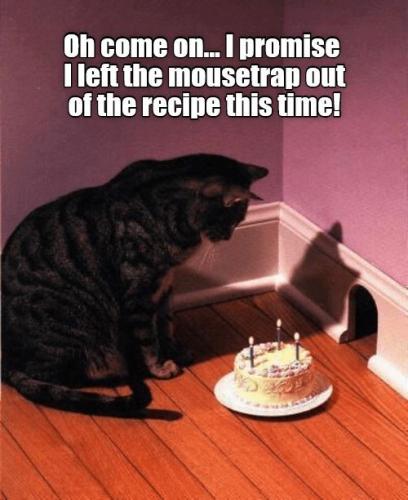 2ed8cb3ae9e56612c5bfb74cc5a5fc84