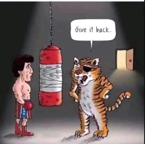 FB_IMG_1710699346439