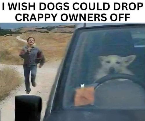 FB_IMG_1709710827835