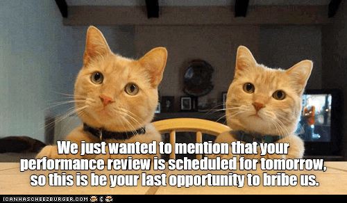 d1d77baff7c2729c26abb6cd9c22eec1