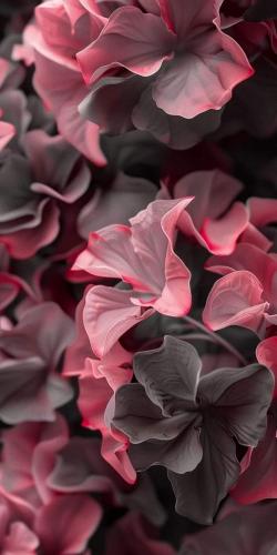 img-779351e8