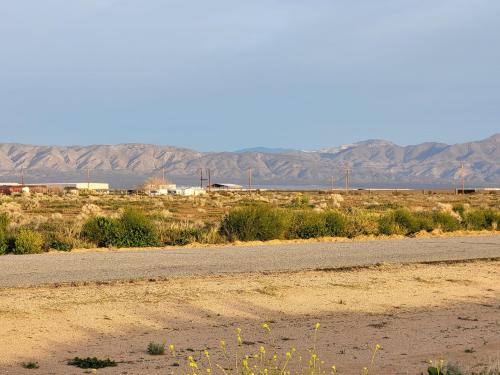 431283460_1305974633432671_7792795310364276860_n