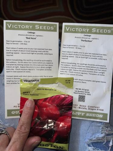 181FD619-D75B-4639-8D9C-5510AE575B92