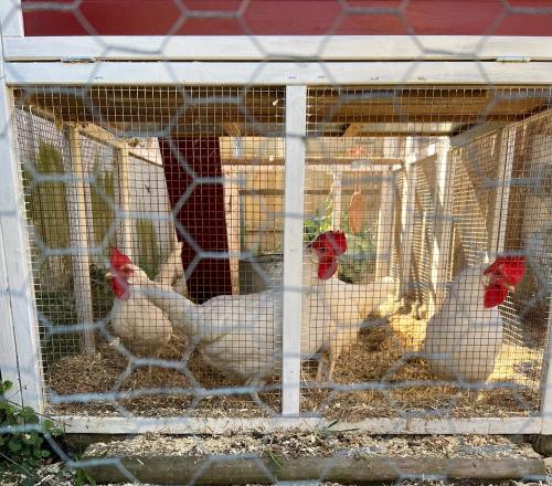 4A17B90F-F88A-4BF7-8B5F-E9230BA25425