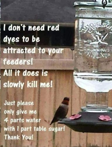 428629455_968106005036252_3604890078258961641_n