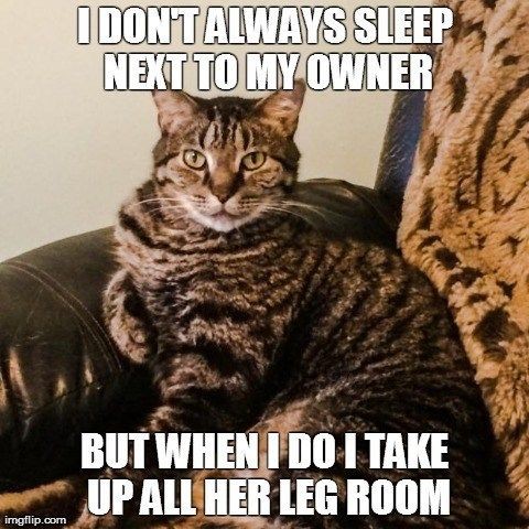 1dc598594ca6fe9db512f90a440c1975