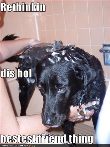rethinkin-dis-hol-bestest-friend-thing