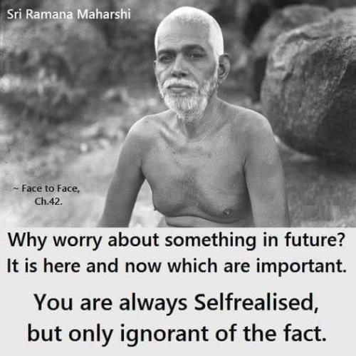 ,                             ,     ,