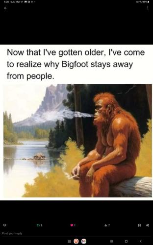 Screenshot_20240317_182810_X