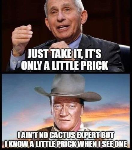 670bd5f34cceb4c5846cb038caeec935