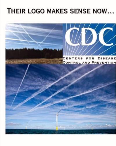 cdc logo
