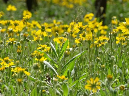 17:52:29 GMT-0500 (CDT)