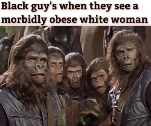 IMG_20240318_163548_302