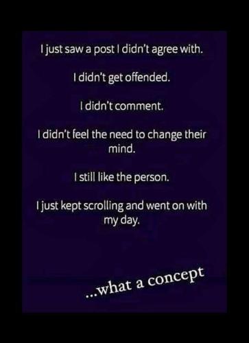 what a concept