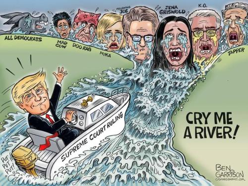 Trump - Dems cry river