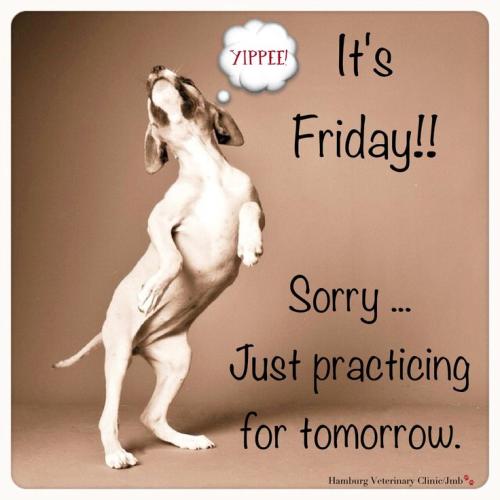 fff1906c0ad75d7cd43684178affadb9