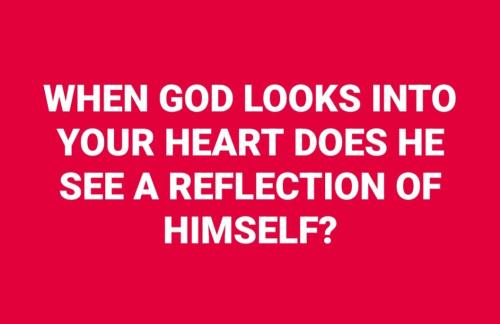 91f4b0ed-4e34-4381-9cfc-dd30be2a3477